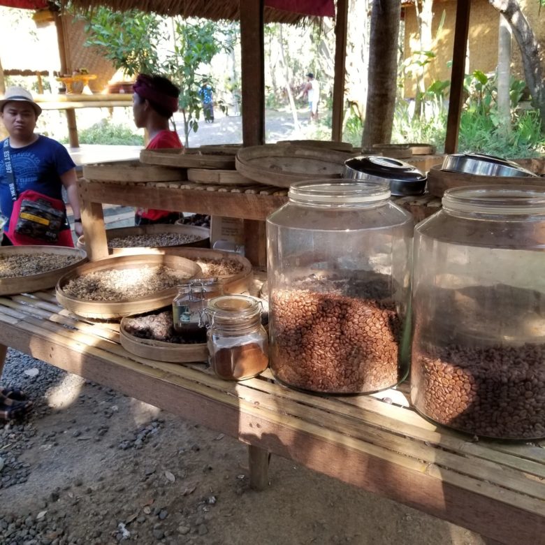 バリ島 ジャコウネココーヒー　Kopi Luwak コピ・ルアク