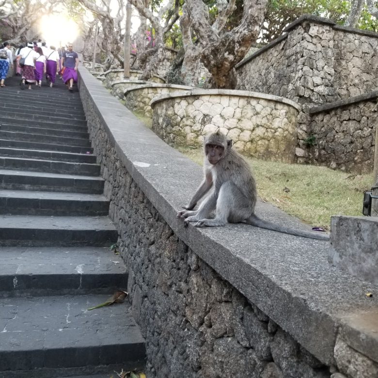 バリ島　ウルワツ寺院　サル