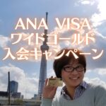 ANA VISAワイドゴールドカード入会キャンペーン