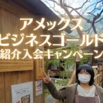 アメックスビジネスゴールド紹介入会キャンペーン