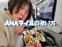 マイルを交換！ANAマイルの使い方