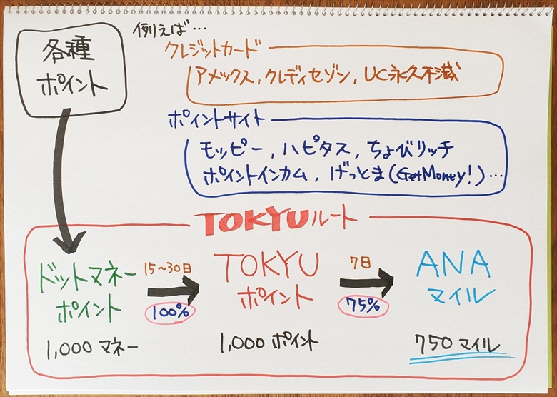 TOKYUルートの図解