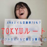 TOKYUルートとは？