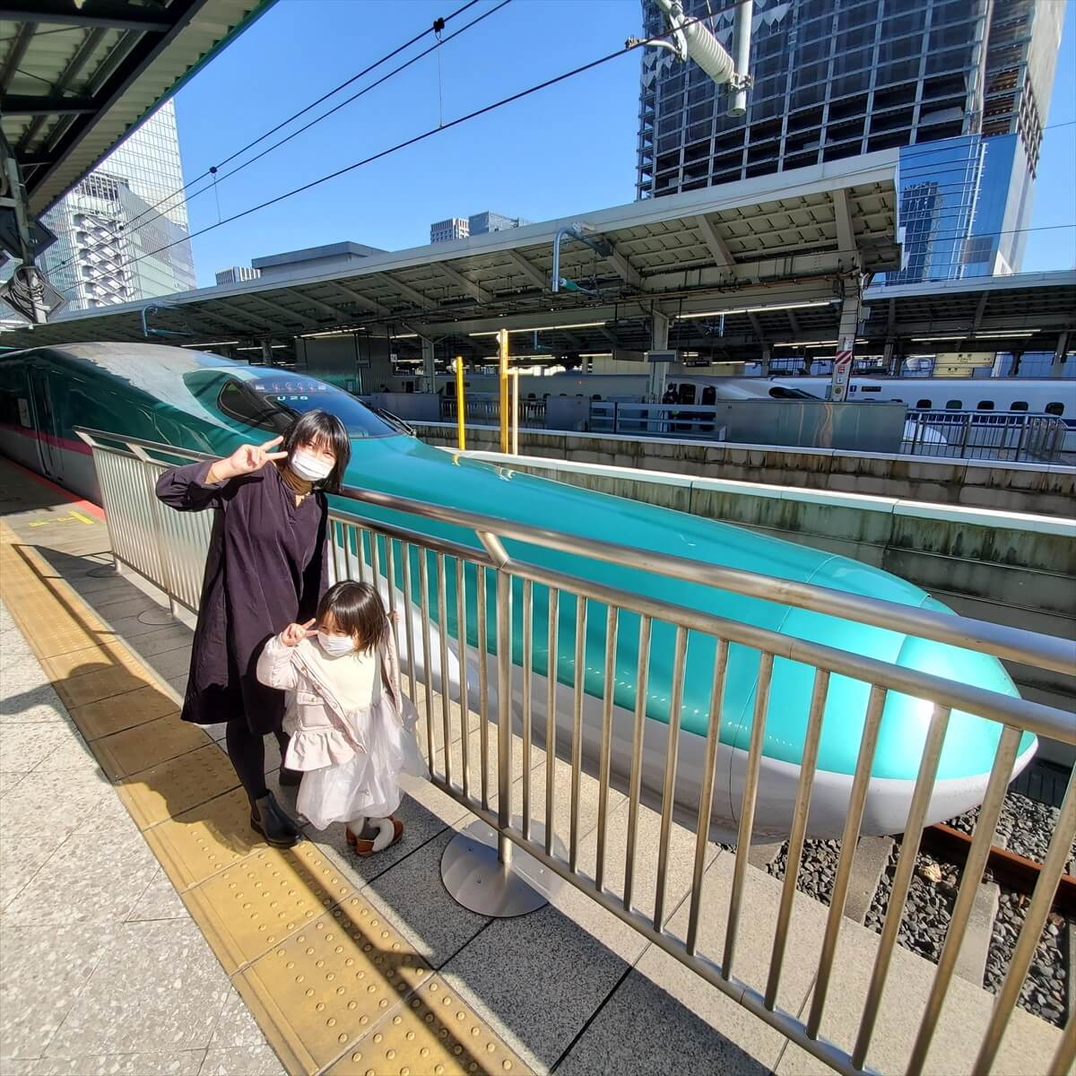 東北新幹線はやぶさ