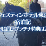 ウェスティンホテル東京 宿泊記