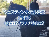 ウェスティンホテル東京 宿泊記