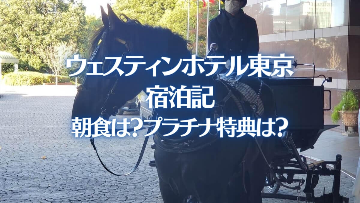 ウェスティンホテル東京 宿泊記