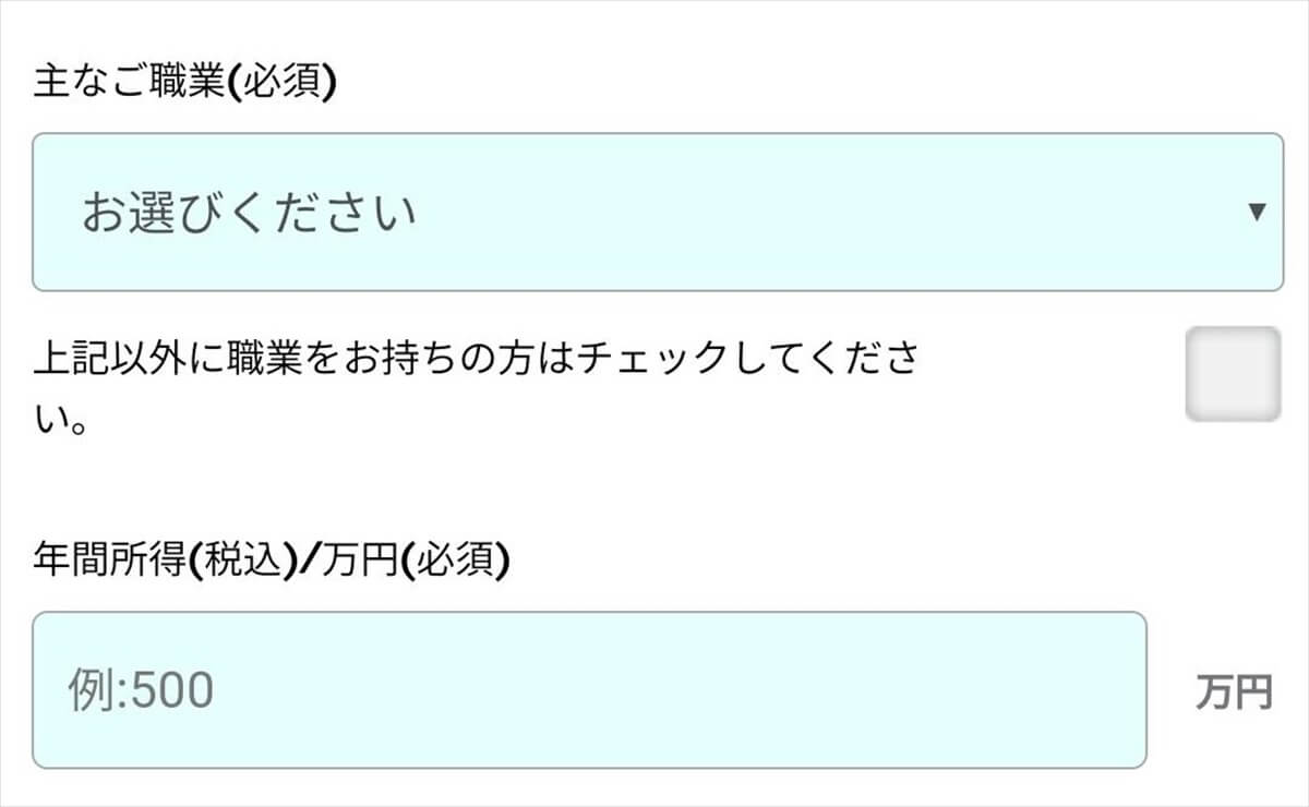 SPGアメックスの申込み時には職業を複数選択できる