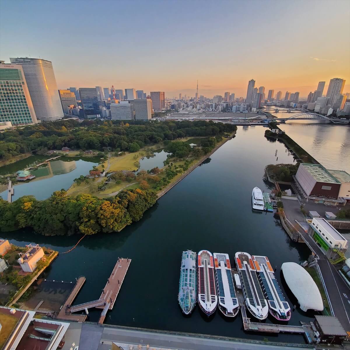 カテゴリー7のメズム東京