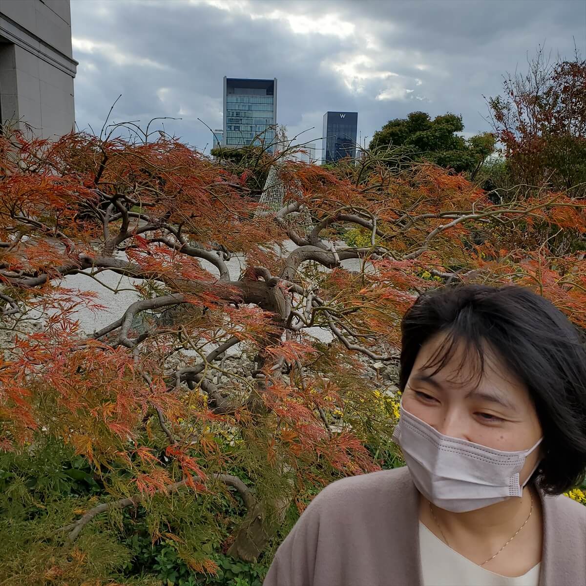セントレジス大阪の庭園から望むＷ大阪